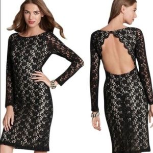 Alice + Olivia Black Dandi Lace Dress 0264